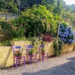 Bed & Breakfast Romy House