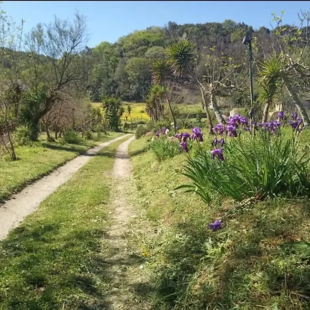 Romy House * Pianopoli