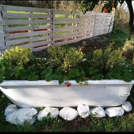 Romy House 3* Pianopoli