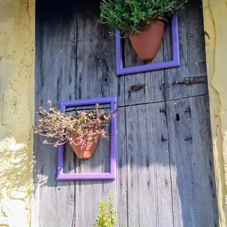 Romy House 3*