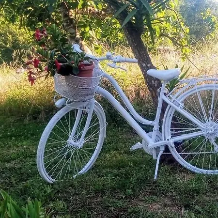 Romy House Frühstückspension 3*