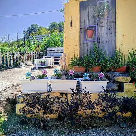 Romy House Frühstückspension Pianopoli