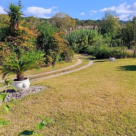 Frühstückspension Romy House Pianopoli