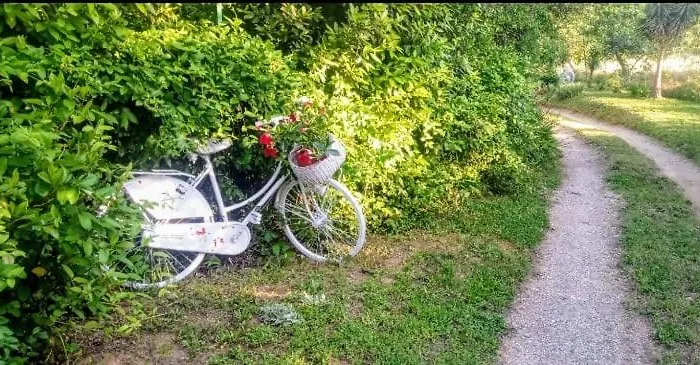 Frühstückspension Romy House 3*