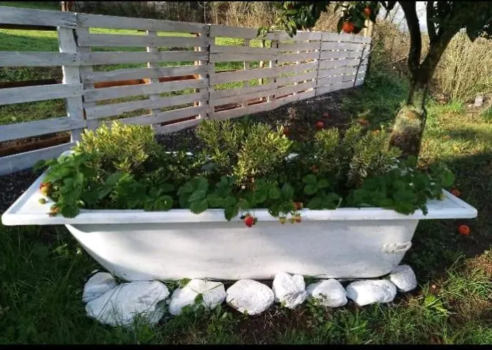 Romy House 3* Pianopoli