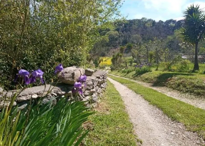 Frühstückspension Romy House