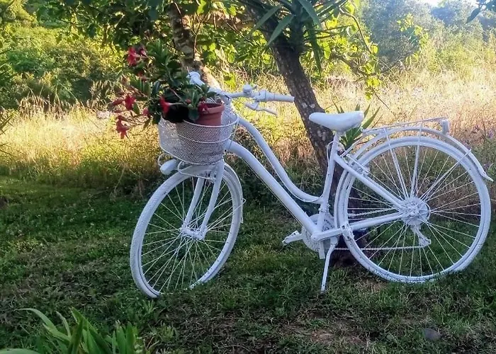 Romy House Frühstückspension 3*