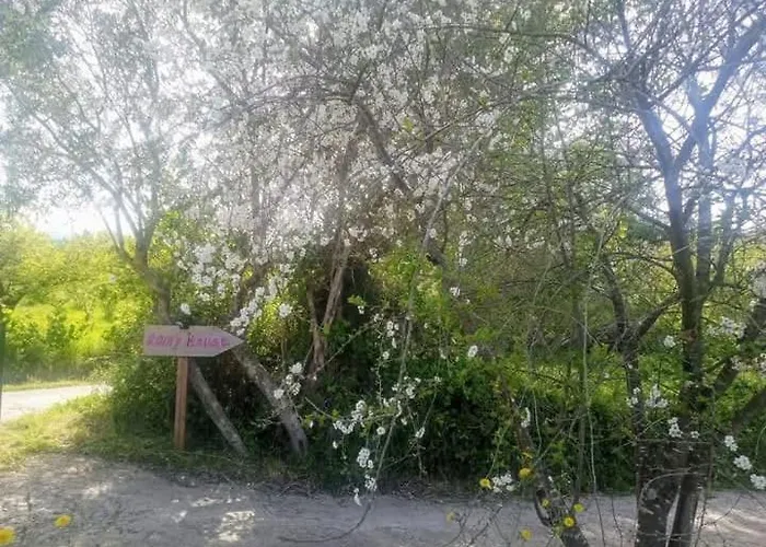 Frühstückspension Romy House Pianopoli