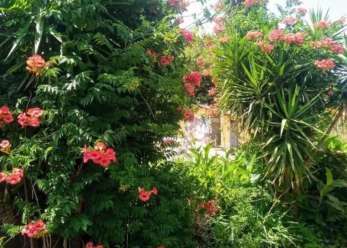 Frühstückspension Romy House Pianopoli