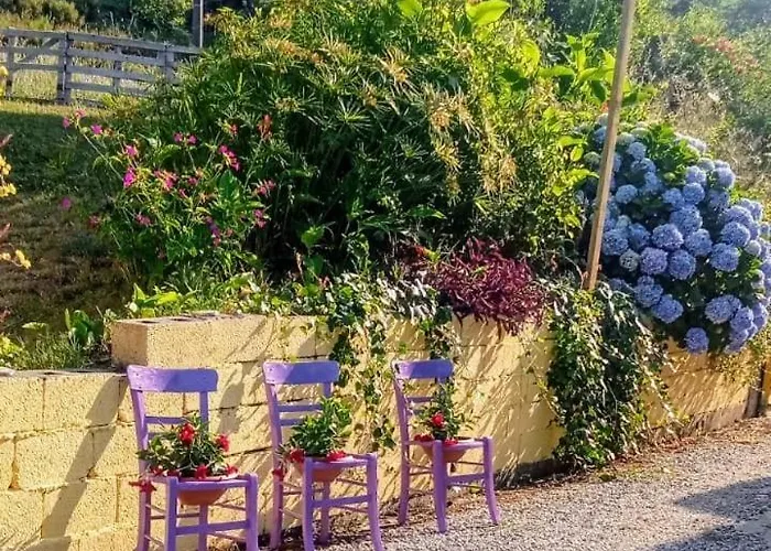 Frühstückspension Romy House